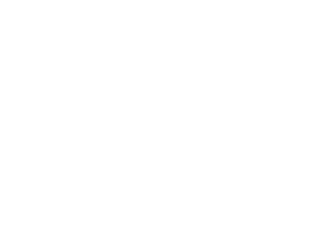 Logo OptiNet